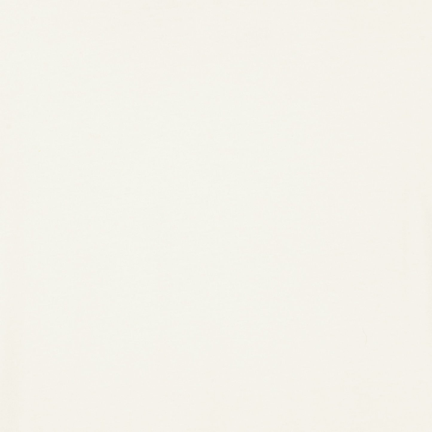 Shiva Tee - Off White